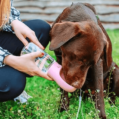 Twisted Tails™ Pet Water Bottle