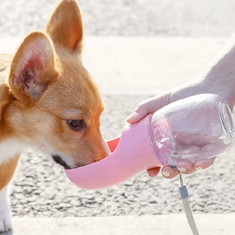 Twisted Tails™ Pet Water Bottle
