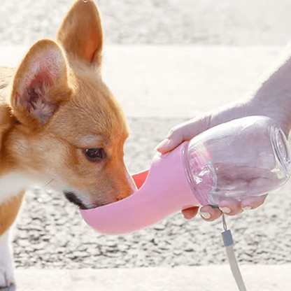Twisted Tails™ Pet Water Bottle